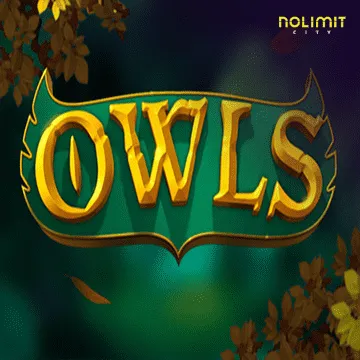 Owls - ADAGAMING168